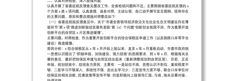 2025全新市口岸办副主任省委巡视反馈意见整改专题民主生活会对照检查材料免费下载