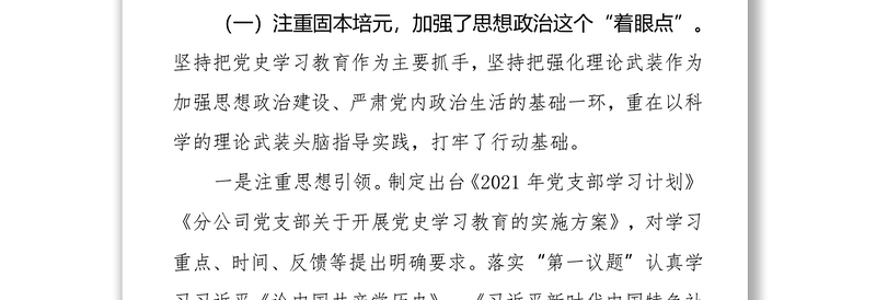 优质国企公司党支部工作总结及工作计划免费下载
