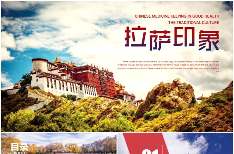 2025精美时尚布达拉宫西藏文化西藏旅游ppt免费下载