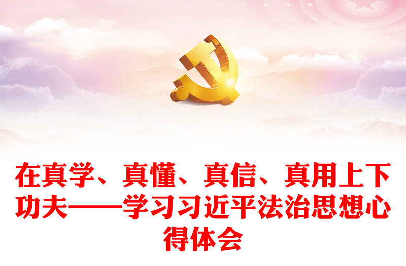 2025优质在真学、真懂、真信、真用上下功夫——学习习近平法治思想心得体会免费下载