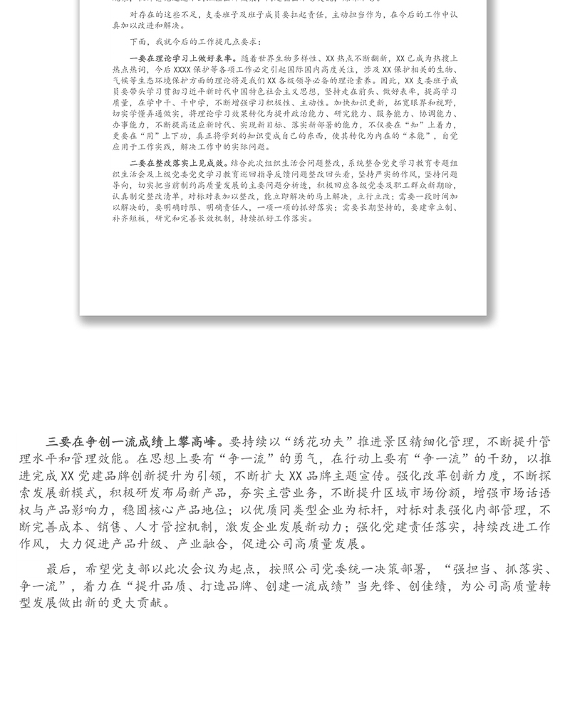2025优秀国企上级党委对党支部组织生活会的点评意见免费下载