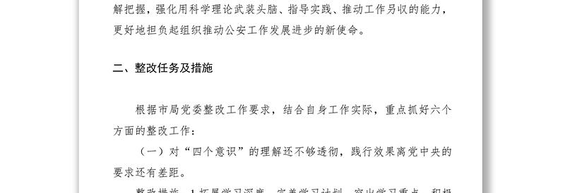 2025优质主题教育个人检视问题整改落实方案及整改台帐(市公安局)免费下载