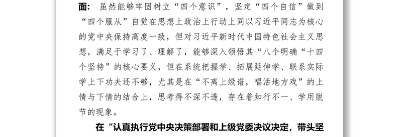 2025优质党员领导干部民主生活会发言提纲及对照检查材料范文免费下载