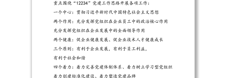 2025精品度党建工作重点任务清单免费下载