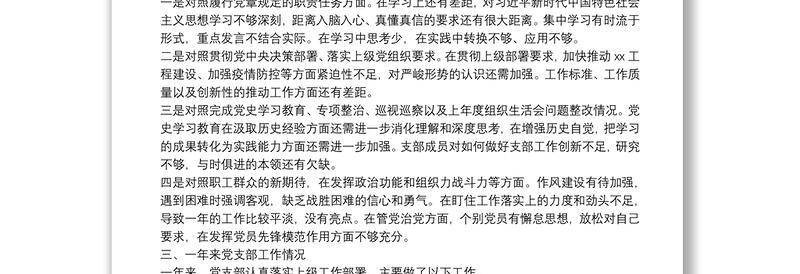 2025精品度组织生活会党支部委员会年度工作报告免费下载