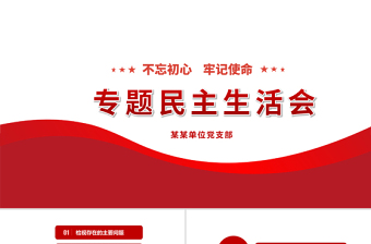 2025红色精美原创民主生活会党委班子对照检查材料ppt免费下载