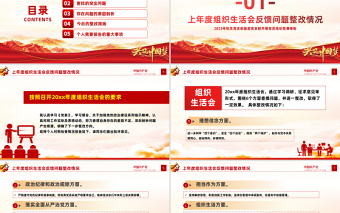 2025组织生活会个人发言材料PPT简约风组织生活会个人发言材料专题党课课件模板免费下载