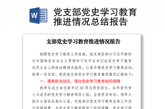 2025优质党支部党史学习教育推进情况总结报告免费下载