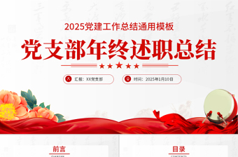 述职报告党课PPT