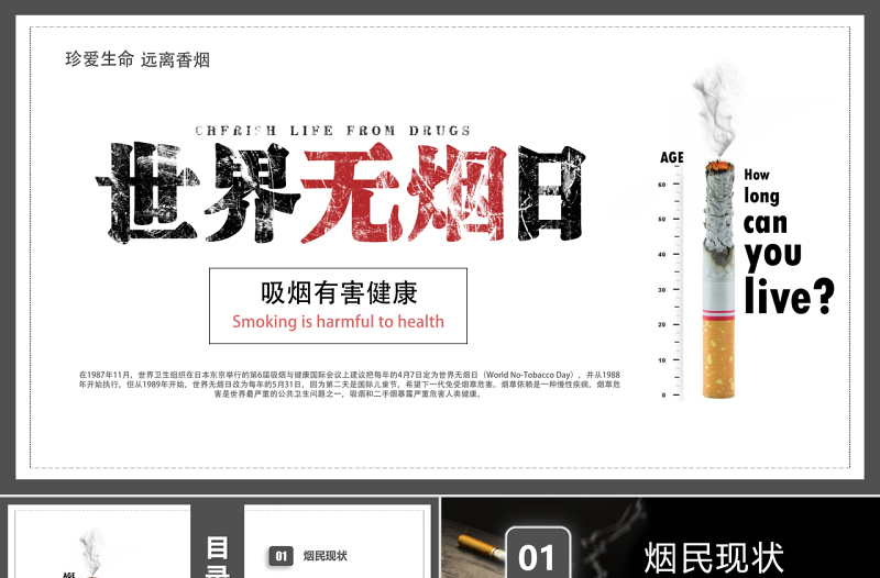 2025精美时尚世界无烟日PPT珍爱生命远离香烟课件免费下载