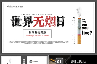 2025精美时尚世界无烟日PPT珍爱生命远离香烟课件免费下载