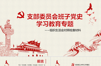 2025红色精美年支部委员会班子成员党史学习教育专题组织生活会对照检查材料PPT党课模板免费下载