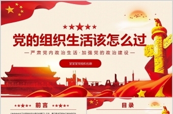 2025精美大气党的组织生活怎么过PPT红色精品严肃党内政治生活加强党的政治建设专题党课课件免费下载
