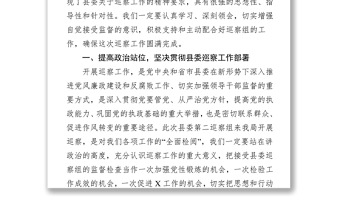 2025优质巡察动员会表态发言(县级局)免费下载