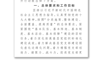 2025全新《党支部建设提升行动实施方案》免费下载