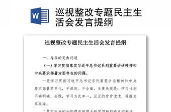 2025精品巡视整改专题民主生活会发言提纲免费下载