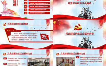2025精美简洁完整版配演讲稿党支部书记如何主持召开组织生活会PPT模板免费下载