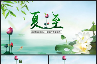 2025精美时尚原创夏至节主题班会PPT课件模板含详细内容免费下载