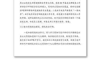 2025优秀20XX年司法局支部书记抓机关党建工作述职报告免费下载