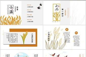 2025大气精美简约风二十四节气小满介绍PPT模板免费下载