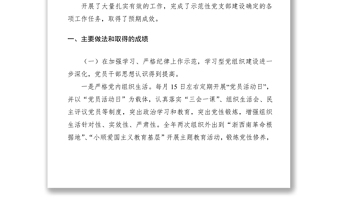 2025优质示范党支部创建工作总结汇报免费下载