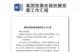 2025优质集团党委巡视巡察党委工作汇报免费下载