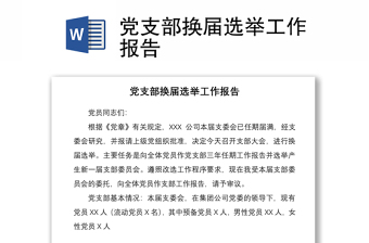 2025优质党支部换届选举工作报告免费下载
