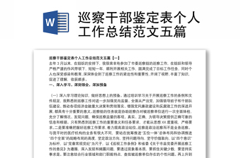 2025精品巡察干部鉴定表个人工作总结范文五篇免费下载