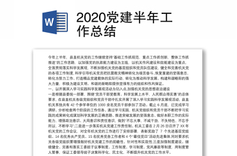 2025优质党建半年工作总结免费下载