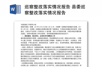 2025精选巡察整改落实情况报告 县委巡察整改落实情况报告免费下载