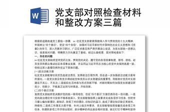 2025通用党支部对照检查材料和整改方案三篇免费下载