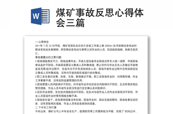 2025精品煤矿事故反思心得体会三篇免费下载