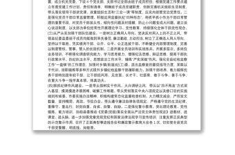 2025优质纪委书记履行全面从严治党责任落实“一岗双责”情况汇报免费下载
