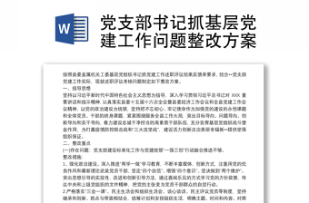 2025全新党支部书记抓基层党建工作问题整改方案免费下载