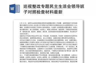 2025通用巡视整改专题民主生活会领导班子对照检查材料最新免费下载