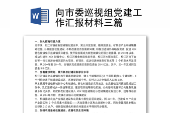 2025实用向市委巡视组党建工作汇报材料三篇免费下载