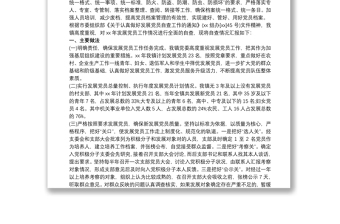 2025优质村党支部关于发展党员工作自查报告免费下载