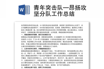 2025优质青年突击队—昂扬攻坚分队工作总结免费下载