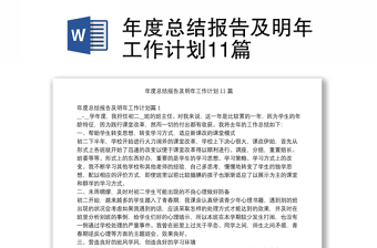 年度总结报告