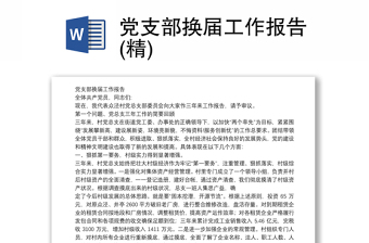 2025优质党支部换届工作报告(精)免费下载