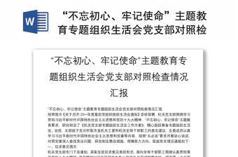 2025精品“不忘初心、牢记使命”主题教育专题组织生活会党支部对照检查情况汇报免费下载