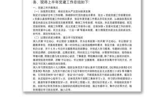 2025优质20**上半年党建工作总结（党委）免费下载