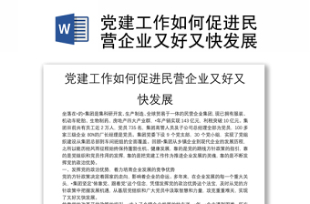 2025全新党建工作如何促进民营企业又好又快发展免费下载