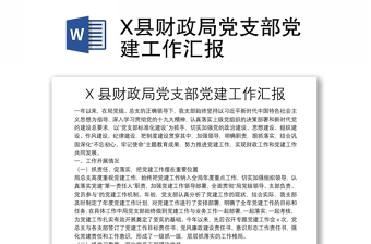 2025实用X县财政局党支部党建工作汇报免费下载