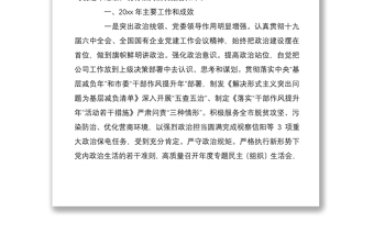 2025精品国网XX供电公司党委书记党建工作述职公司领导班子年度述职述责述廉报告篇免费下载