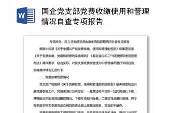 2025通用国企党支部党费收缴使用和管理情况自查专项报告免费下载