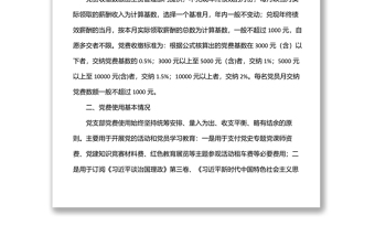 2025通用国企党支部党费收缴使用和管理情况自查专项报告免费下载