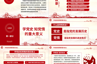 2025精美时尚党政PPT模板4免费下载