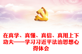 2025优质在真学、真懂、真信、真用上下功夫——学习习近平法治思想心得体会免费下载