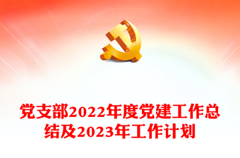 通用党支部党建工作总结及2023年工作计划免费下载
